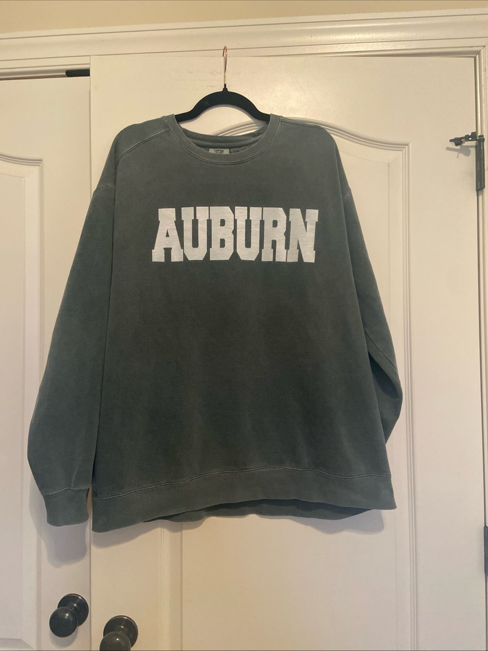 Comfort Colors Auburn Crewneck Sweater in Washed Green